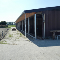 P1000690