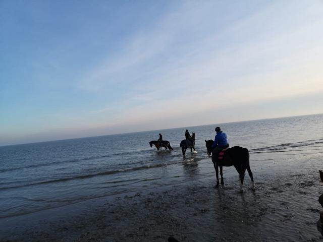 IMG-20191117-WA0003