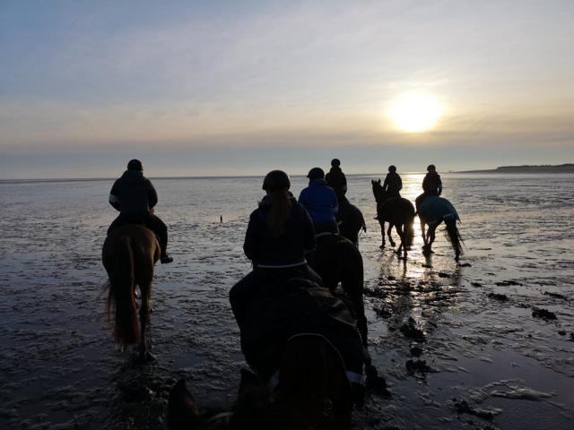 IMG-20191117-WA0006
