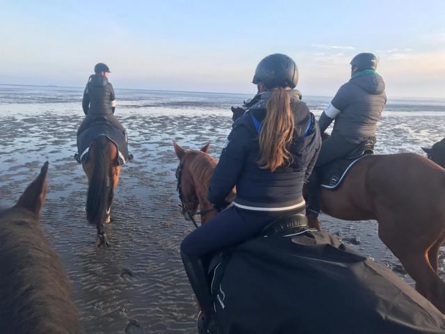 IMG-20191117-WA0012