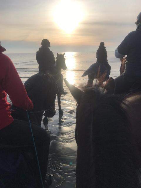 IMG-20191117-WA0019