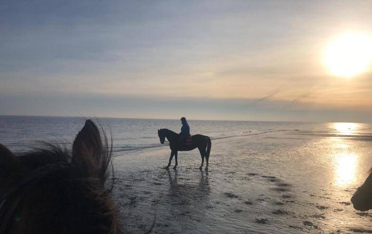 IMG-20191117-WA0020