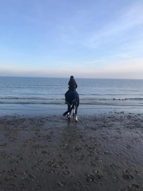 IMG-20191117-WA0022