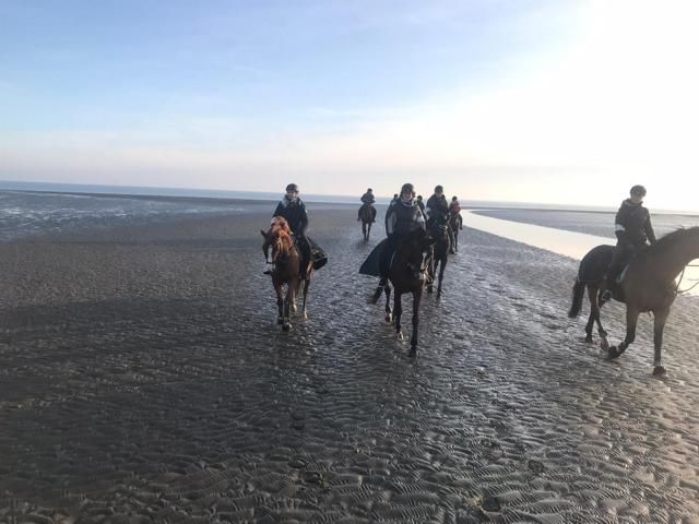 IMG-20191117-WA0026