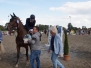 Turnier 2019