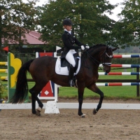 DSC01446-2