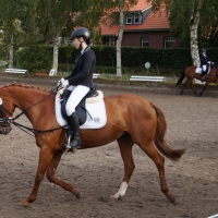 DSC01550-2