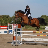 DSC01908-2