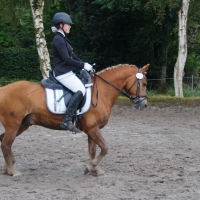 DSC02380