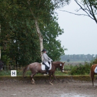 DSC02398-2