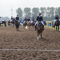 DSC00198