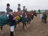 ruf-hoo-e-dressur-mannschaft-1-platz-08-2014